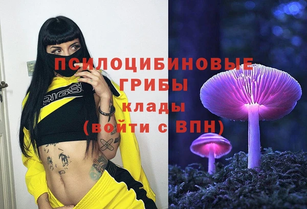 бошки Елизово
