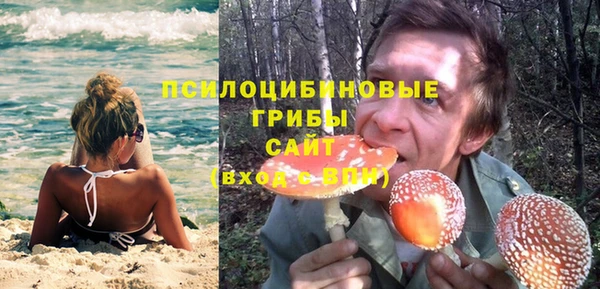 PSILOCYBIN Елабуга