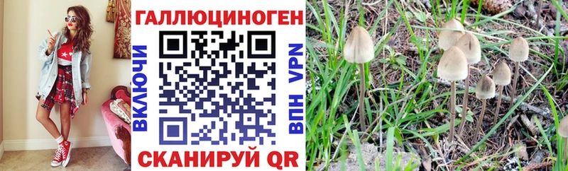 Галлюциногенные грибы MAGIC MUSHROOMS  мориарти формула  Серпухов 